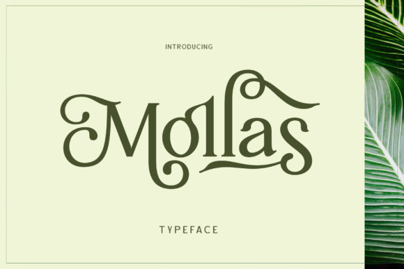 Mollas: A Vintage Display Font